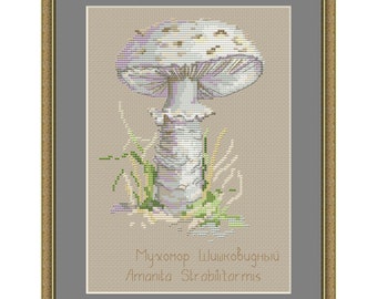 Amanita Cross Stitch Pattern PDF Instant Download Cross Stitch Fly Agarics Cross Stitch Counted Chart Mushroom Counted Cross Stitch