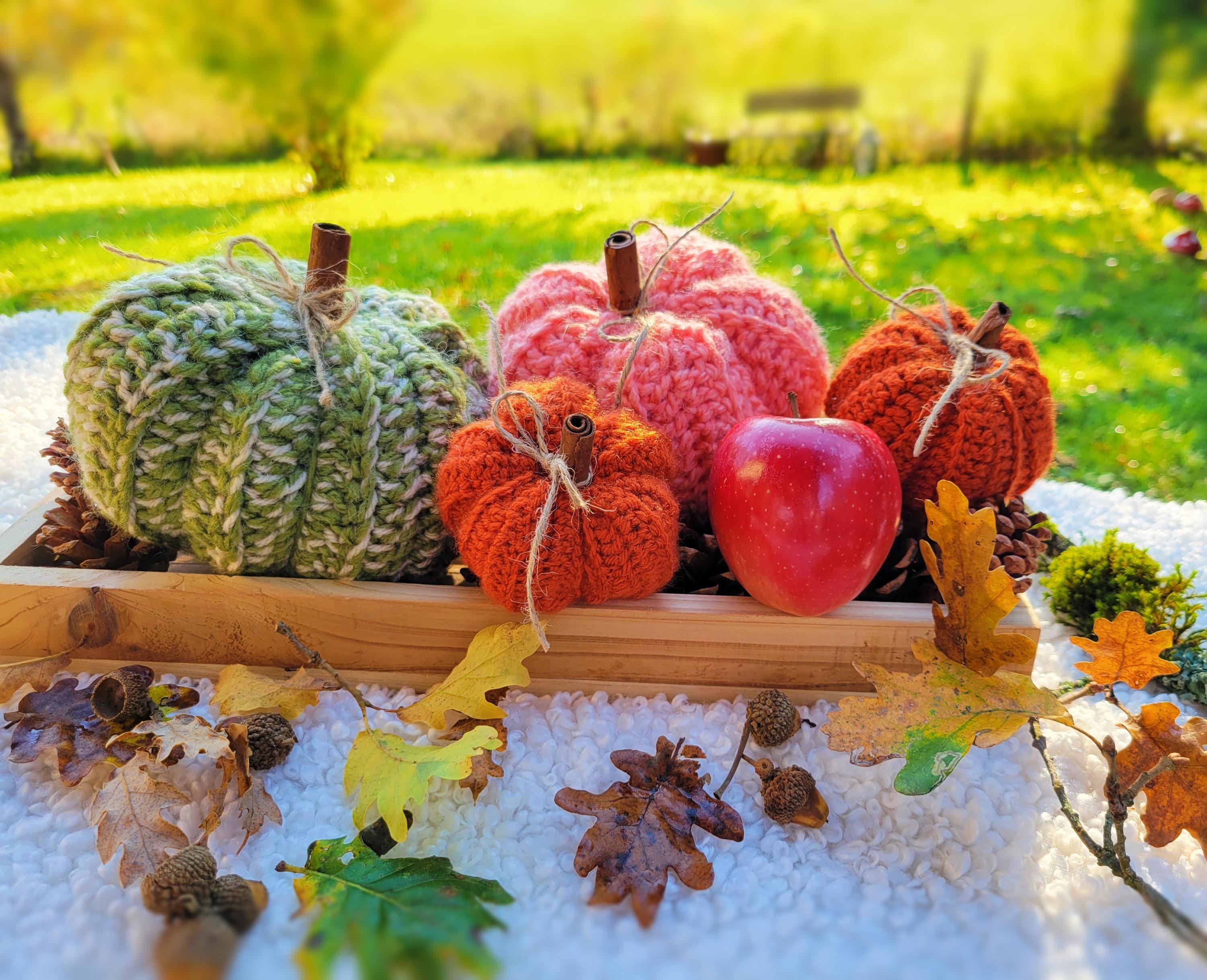 Créez Une Atmosphère Automnale Avec Des Décorations Faites Maison - Le Pogo