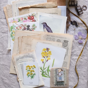 Vintage ephemera pack, vintage papers, wildflower pages, junk journal