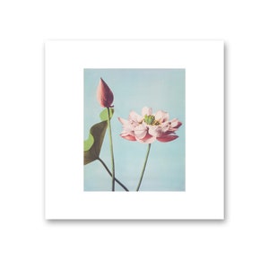 Lotus Flower Wall Art | Lotus by Ogawa Kazumasa | Downloadable Art Print | Digital Art Prints | PRINTABLE Digital
