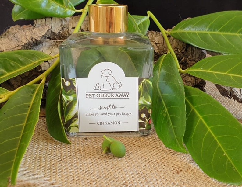 Pet safe Reed Diffuser Inc Reeds Etsy