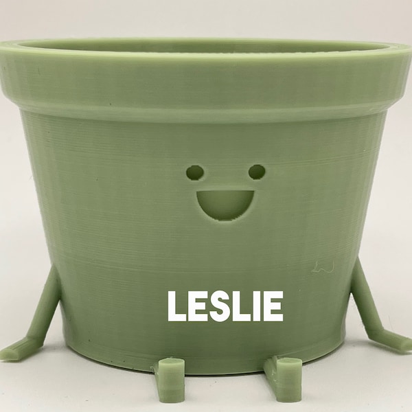 Leslie the Enthusiastic Planter - Large and Extra Large Size - Kawaii Planter - Indoor Planter - Inspired by Parks and Rec