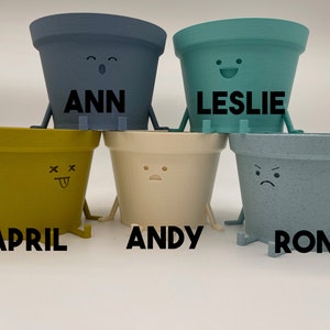 Parks and Rec Inspired Planter: Kawaii Indoor Planter