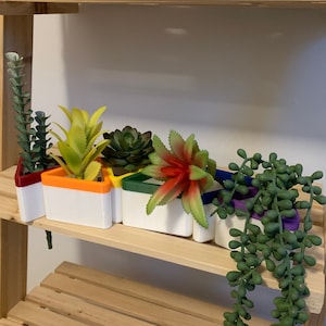 White and Rainbow Triangle Succulent Planter