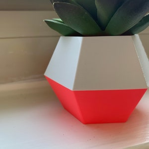 Hot Pink and White 3D Printed Succulent Planter