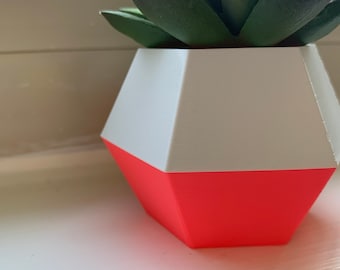 Hot Pink and White 3D Printed Succulent Planter