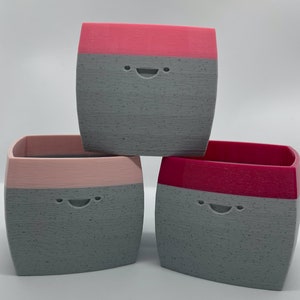 Rosie la Maceta Kawaii: Maceta de dibujos animados impresa en 3D con cara
