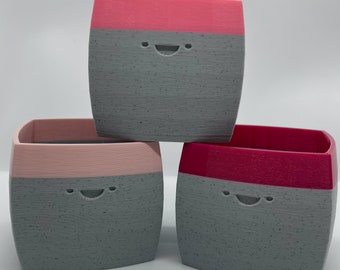 Rosie the Kawaii Planter: 3D Printed Cartoon Planter with Face