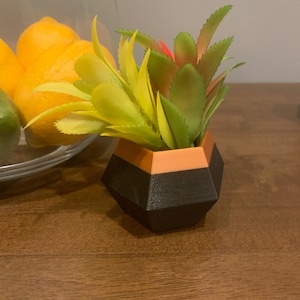 Black and Copper 3D Printed Succulent Planter