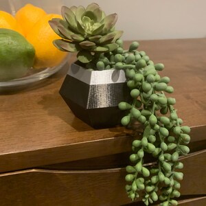 Black and Silver 3D Printed Succulent Planter