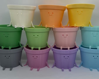 3D Printed Mini Planter: Happy Face, Indoor Succulent Planter