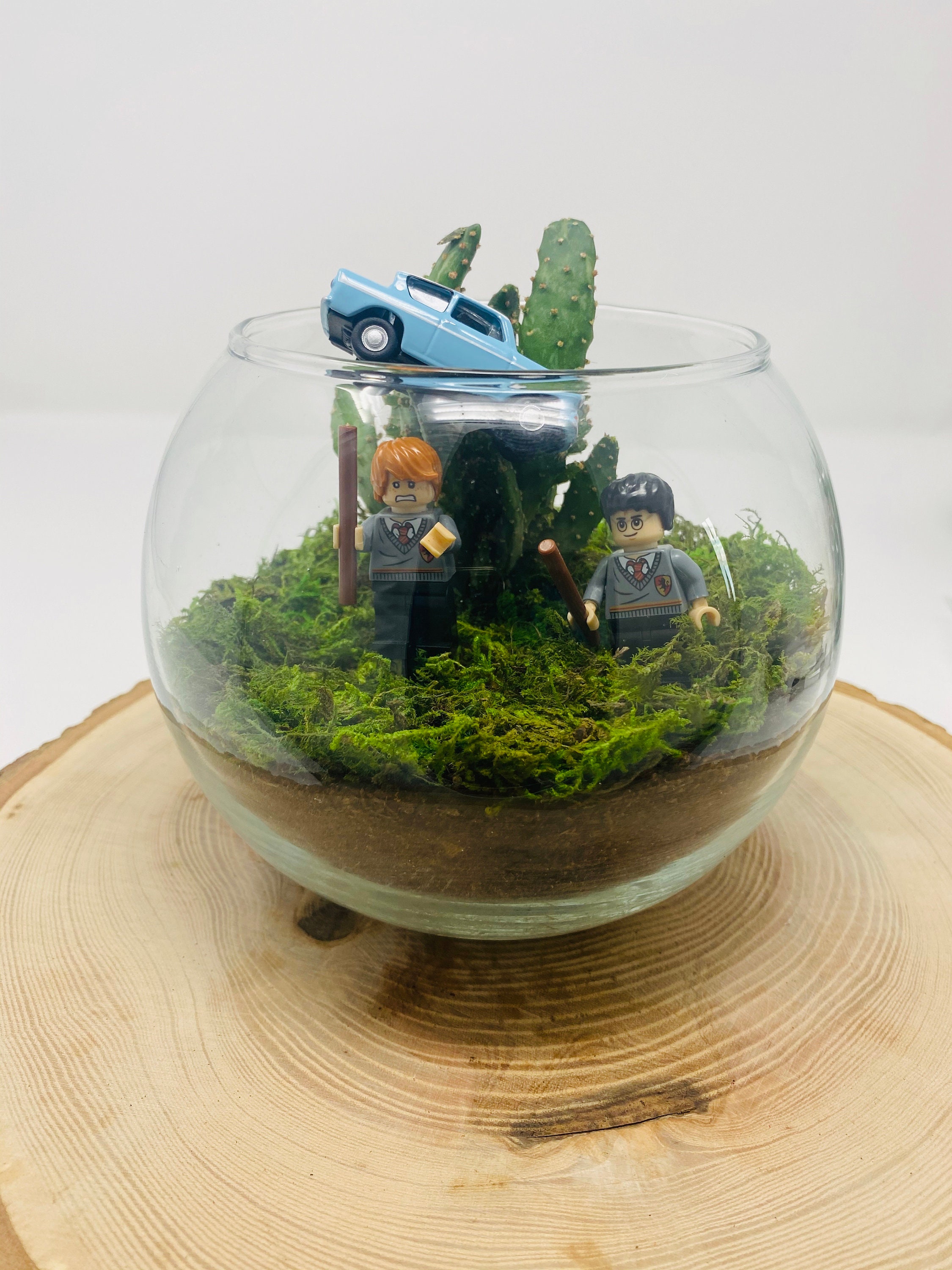 Harry Potter Inspired Terrarium