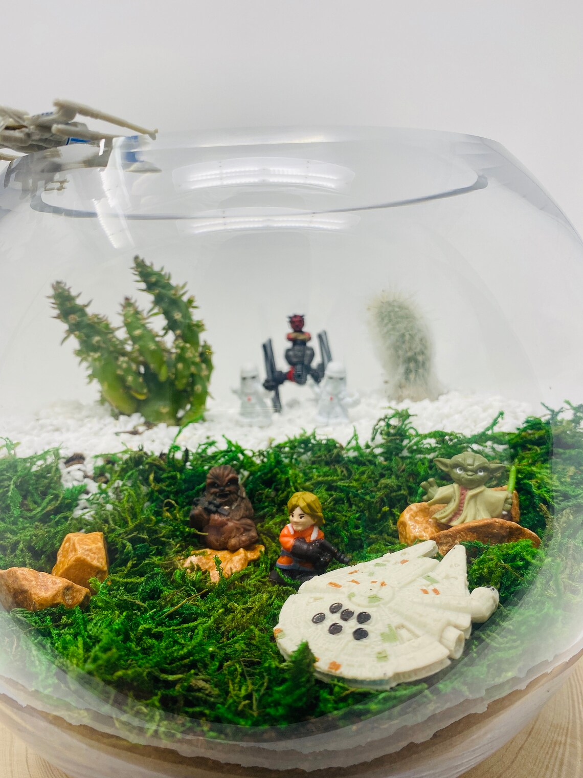 DIY Star Wars Endor Terrarium with Figurines Etsy