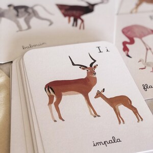 Cartes Alphabet des animaux et leurs bébés