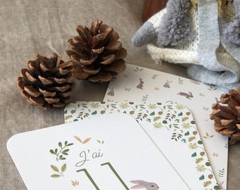 Cartes étapes Petits lapins 'Ma première Année'
