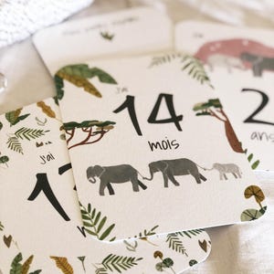 Cartoline con i passi dell'Elefante 'Il mio secondo anno'