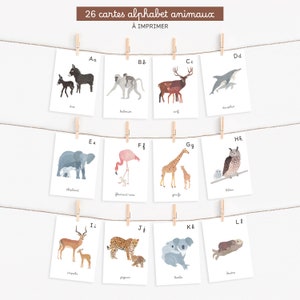 Cartes Alphabet imprimables des animaux et leurs bébés