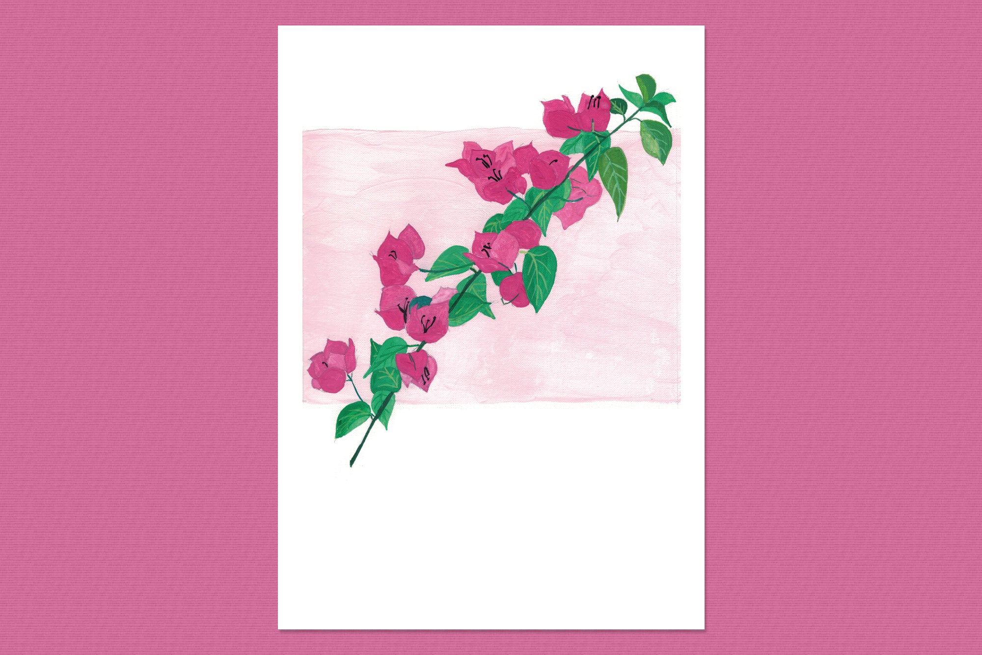 Affiche Bougainvillea