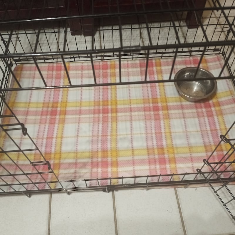 Picture of Dog Crate Cover - Etsy