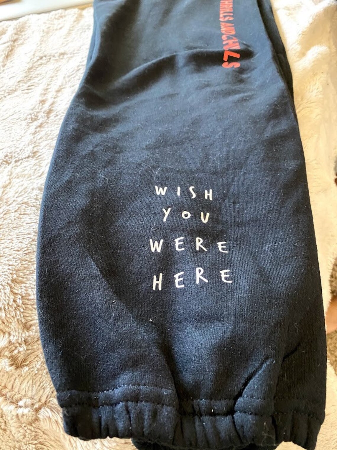 travis scott astroworld sweatpants