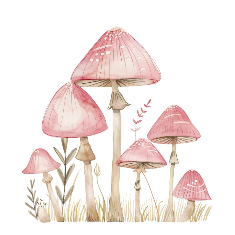 Mushroom Clipart Watercolor Pink Mushrooms Png Mushrooms Bundle Fairy ...
