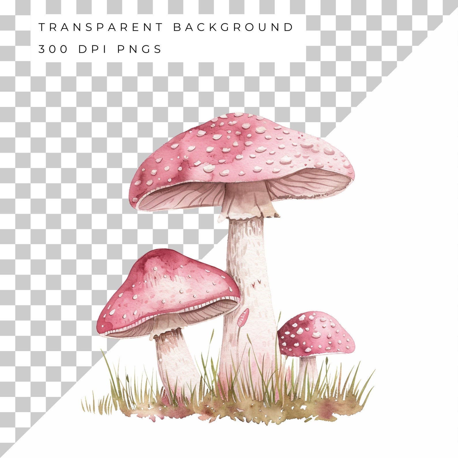 Mushroom Clipart Watercolor Pink Mushrooms Png Mushrooms Bundle Fairy ...