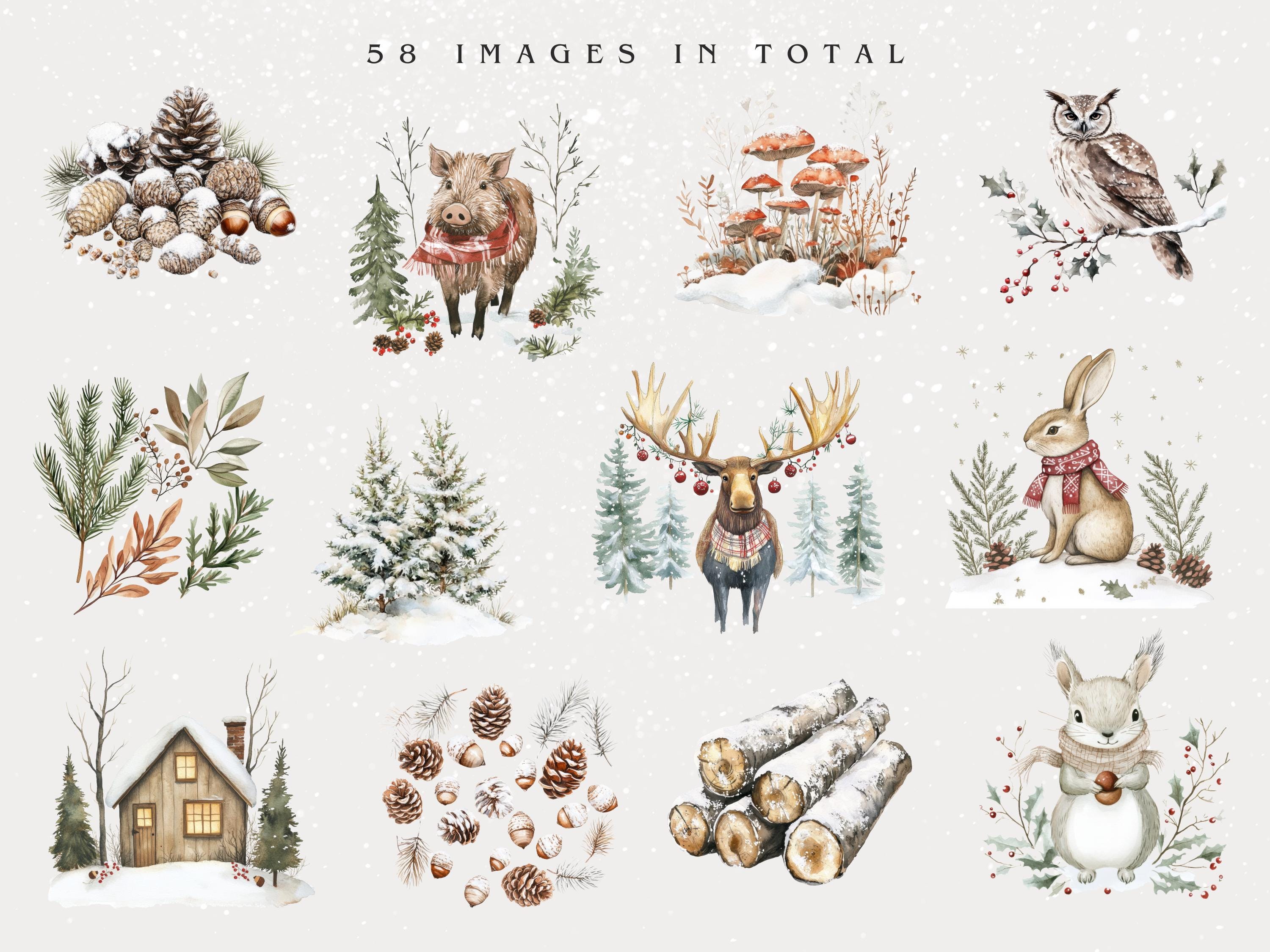 Christmas Watercolor Woodland Clipart, Winter Woodland Forest Animals ...