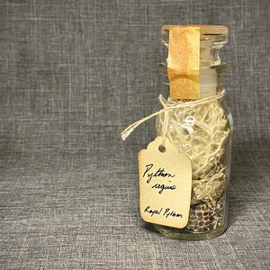 May include: A clear glass jar filled with snake skin, labeled "Python regius, Royal Python." The jar has a cork stopper sealed with a tan paper strip and is tied with twine. The background is a gray fabric.