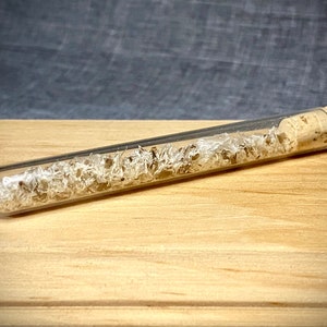 May include: A clear glass vial filled with small, light-colored, organic material, sealed with a cork stopper. The vial is positioned diagonally on a light-colored wooden surface, with a dark gray background.