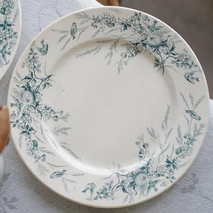 Könnte beinhalten: Weiße Keramikteller mit einem tealfarbenen Blumen- und Vogeldesign. Die Teller haben einen breiten Rand und einen leicht erhöhten Rand. Das Blumenmuster umfasst Rosen, Blätter und kleine Vögel.
