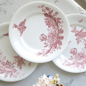 Antique Fabrication Belge &quot;Nimy&quot; Made in Belgium Red Floral Birds Decor7 3/4&quot;(19.5cm) Salad Plate