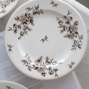 Peut inclure: Assiettes en céramique blanche avec un motif floral marron. Les assiettes présentent un design classique avec des motifs détaillés de fleurs et de feuilles. Elles sont disposées sur une surface claire, suggérant un cadre de salle à manger ou de cuisine.
