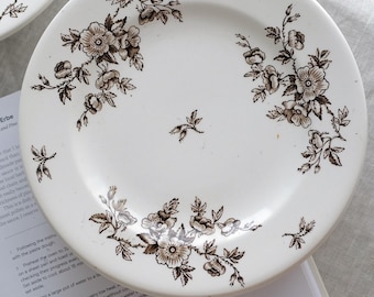 Crown Lynn | Pioneer Stoneware | Dinner Plates | Side Plates