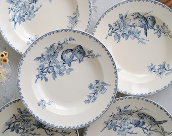 Rare Antique France Sarreguemines Favori Blue Bird Floral Decor 9" Soup Plate Excellent Condition