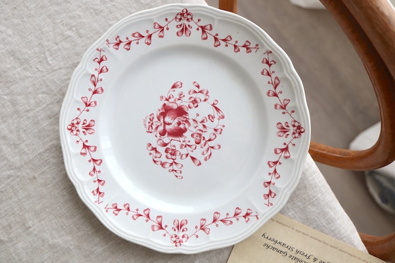 Lot 6 Assiettes Anciennes Faïence De Salins – Décor Oiseaux Exotiques – Vintage