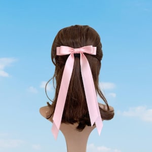 Puede incluir: Una liga para el pelo con un lazo de cinta de satén rosa y colas largas. El lazo está atado alrededor de una coleta en una peluca marrón.