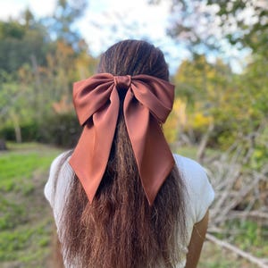 Può includere: Un grande fiocco per capelli color ruggine, realizzato in tessuto liscio e opaco. Il fiocco presenta due ampi lembi a punta che ricadono verso il basso, fissati da un nodo centrale. È posizionato sulla parte posteriore della testa, sui capelli lunghi.