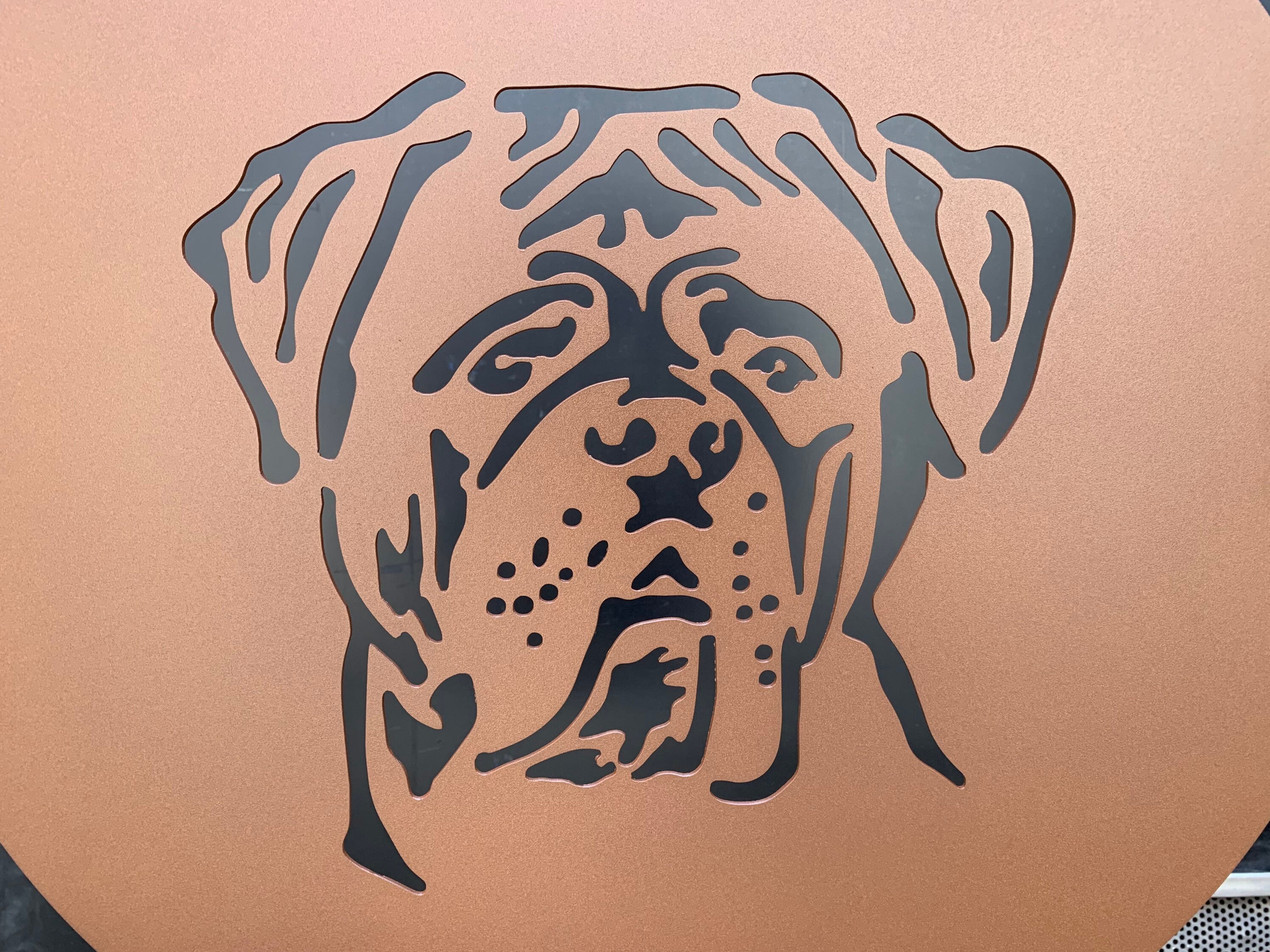 Portrait Dog de Bordeaux