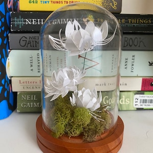 AVA: Medium Paper Flower Terrarium (Cloche)