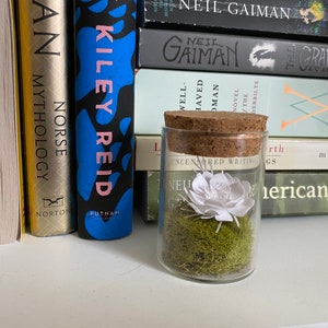 AVA: Micro and Bulb Paper Terrarium