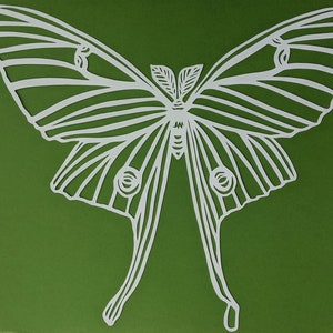 Large Luna Moth Paper Cut Artwork (Unframed)