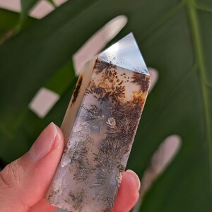 Peut inclure: Une tour de cristal hexagonale polie présentant une base blanc laiteux translucide avec des inclusions dendritiques complexes en forme de fougère brun foncé dans toute la pierre. Le sommet est taillé en une pointe claire et nette.
