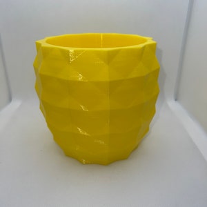 Pineapple Planter
