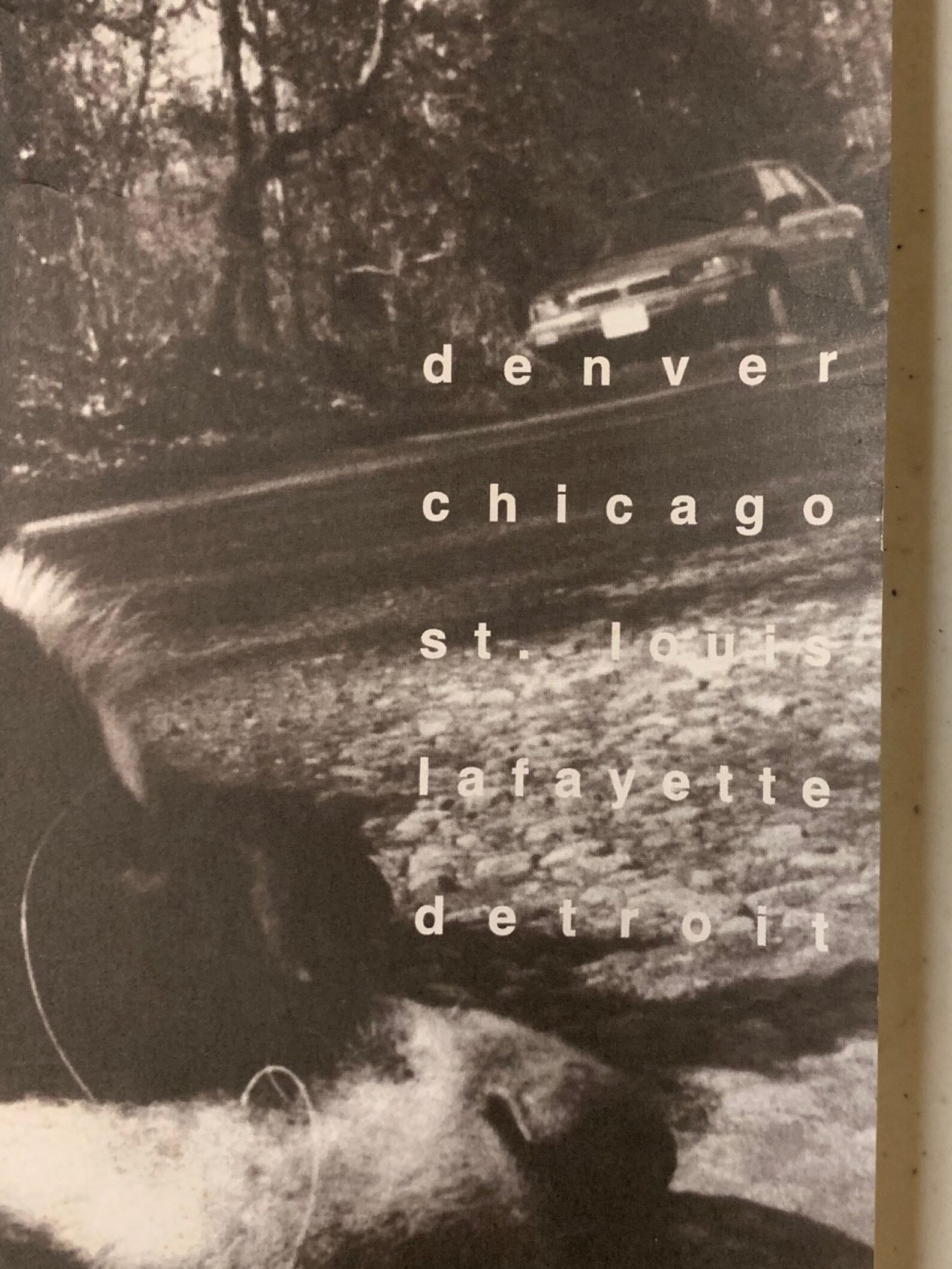 Pearl Jam Ames Bros. dead Dog Poster 1994 | Etsy