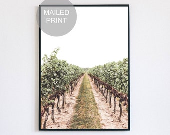 Vineyard Print, Wine Country Poster, Napa Valley Wall Art, Niagara-on-the-Lake Photography, Vines, Grape & Wine Scenery