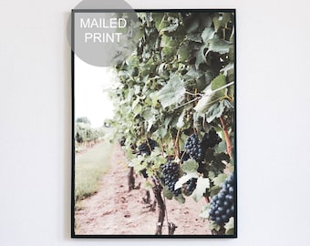 Impresión fotográfica de viñedos: Arte mural de la región vinícola del valle de Napa
