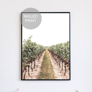 Vineyard Print, Wine Country Poster, Napa Valley Wall Art, Niagara-on-the-Lake Photography, Vines, Grape & Wine Scenery