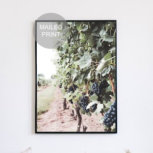 Vineyard Print, Wine Country Poster, Napa Valley Wall Art, Niagara-on-the-Lake Photography, Vineyard Home Decor, Grape & Wine Scenery