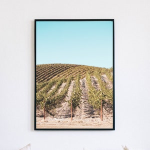 Vineyard Digital Print, Wine Country Poster, Napa Valley Printable Wall Art, Sonoma Photography, Vines, Grape & Wine Scenery