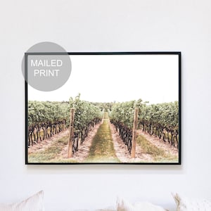 Vineyard Poster Print, Wine Country Print, Napa Valley Wall Art, Niagara-on-the-Lake Photography, Vines, Grape & Wine Scenery